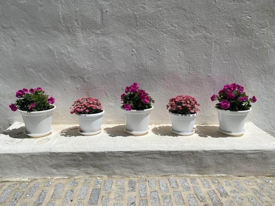 Casa Galeria La Retinta Vejer de la Frontera Exterior foto